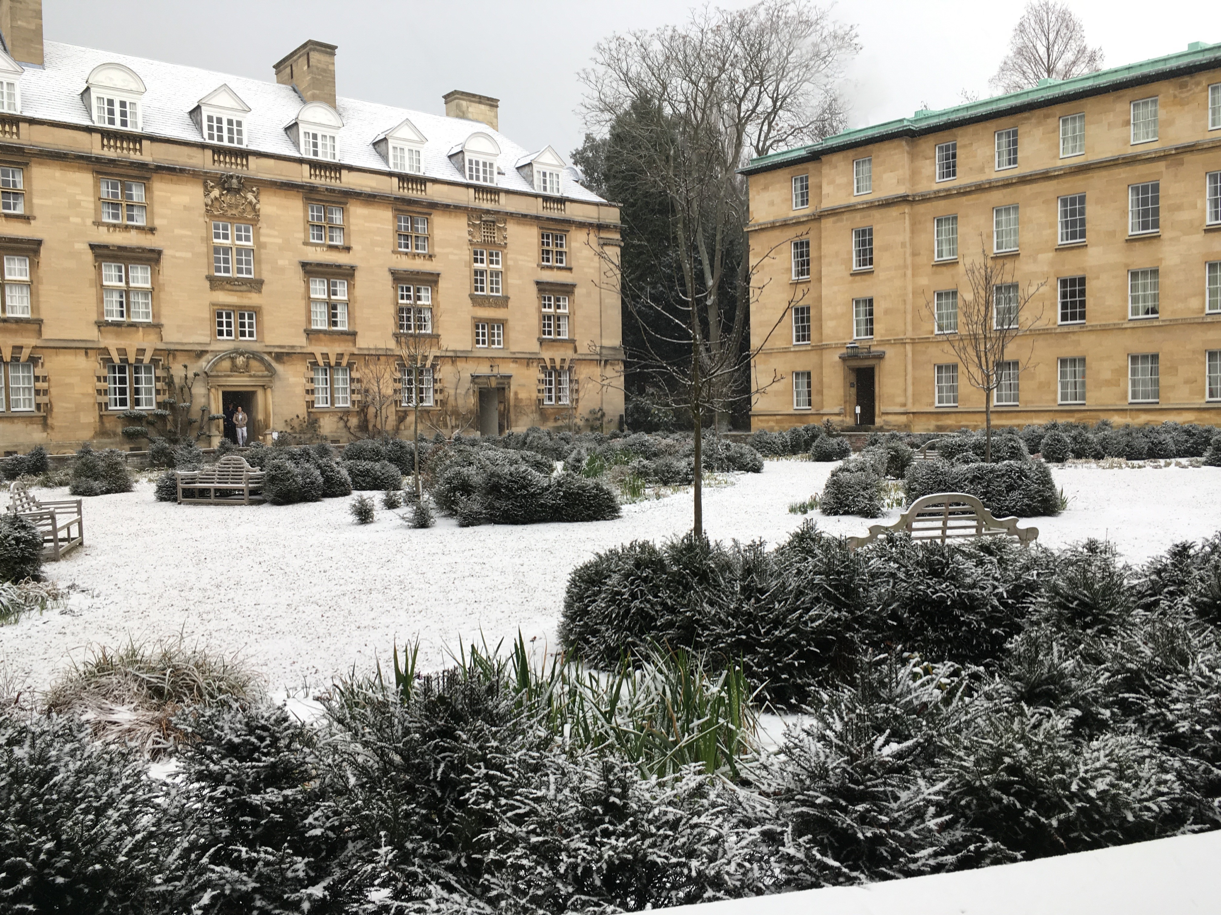 Third Court Snow