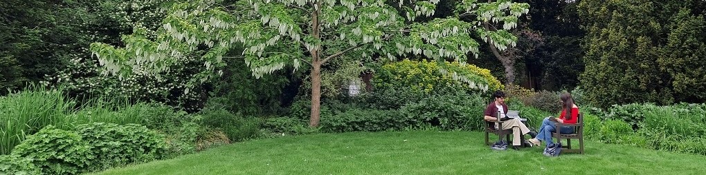 Students reading in the Fellows' Garden