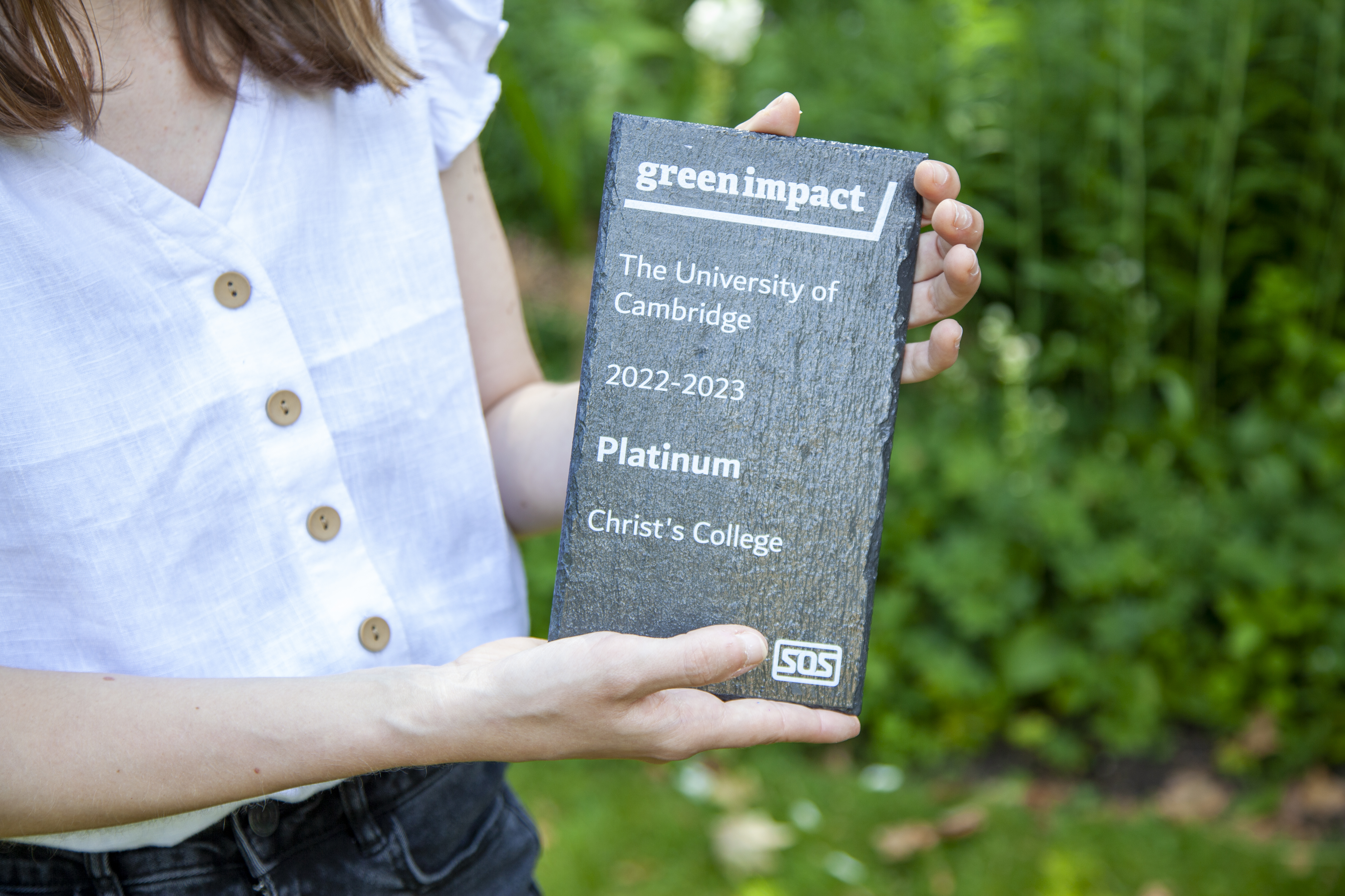 Platinum award