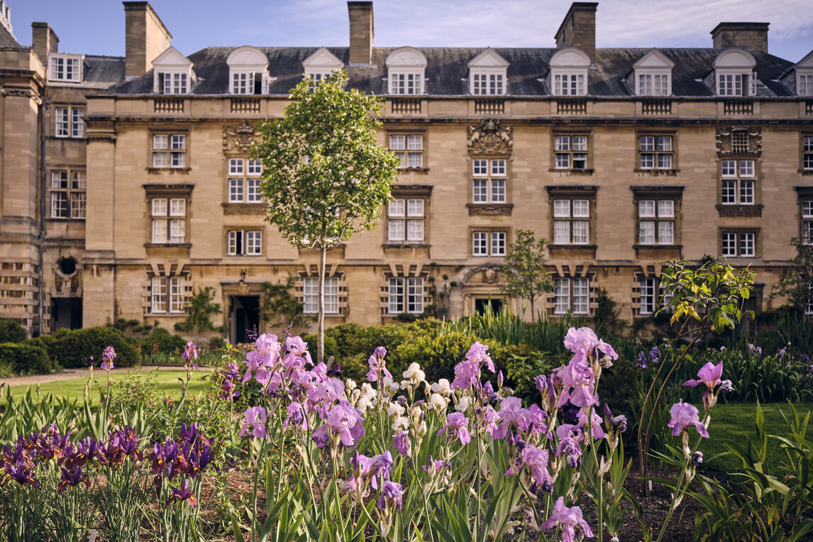 Flowerbed and Stevenson Building