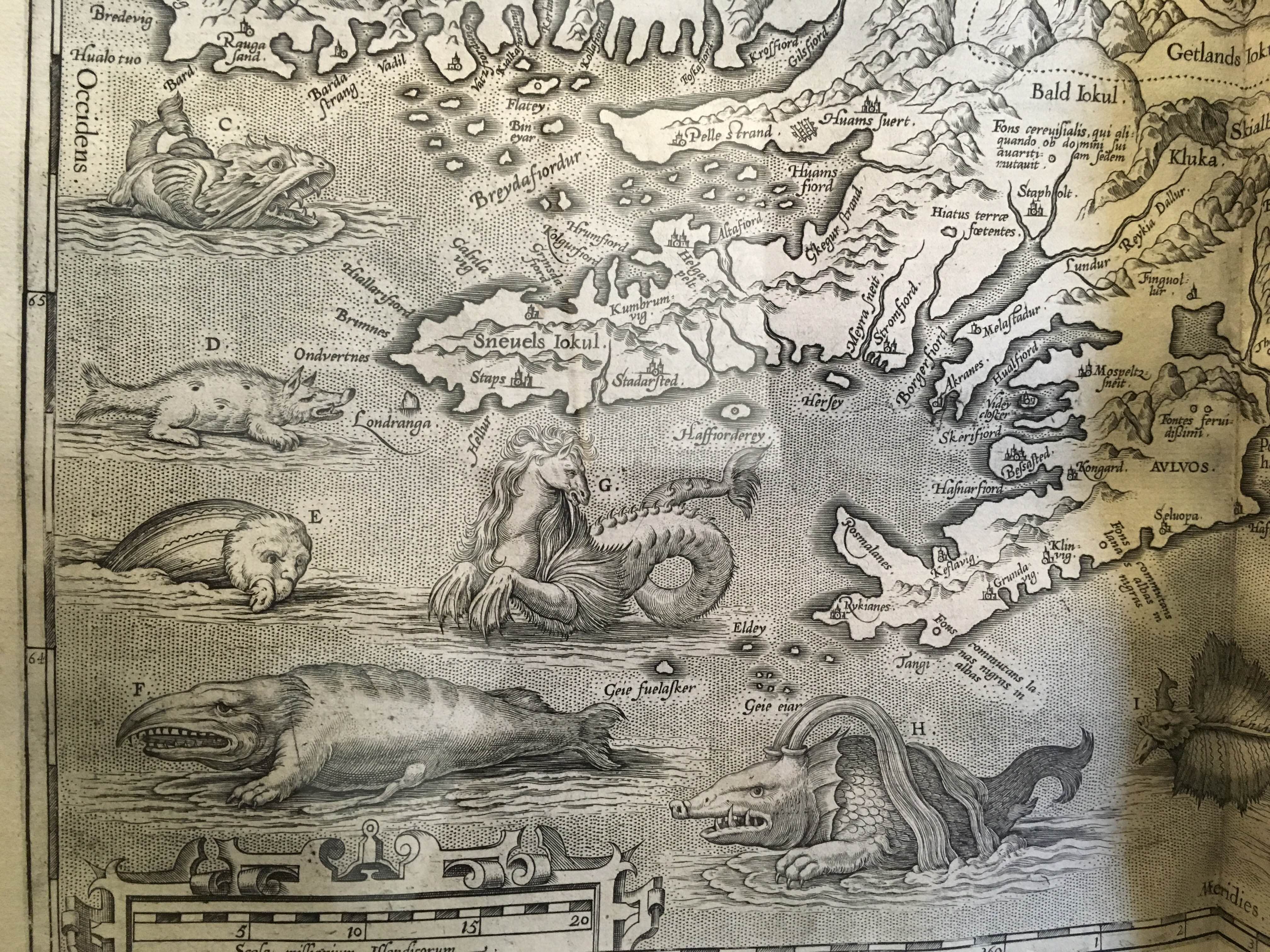 Map with dragins in sea